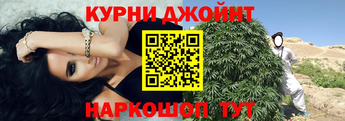 Марихуана сатива  Бошки марихуана сатива  Вход с VPN  МАРИХУАНА план  Мурино 